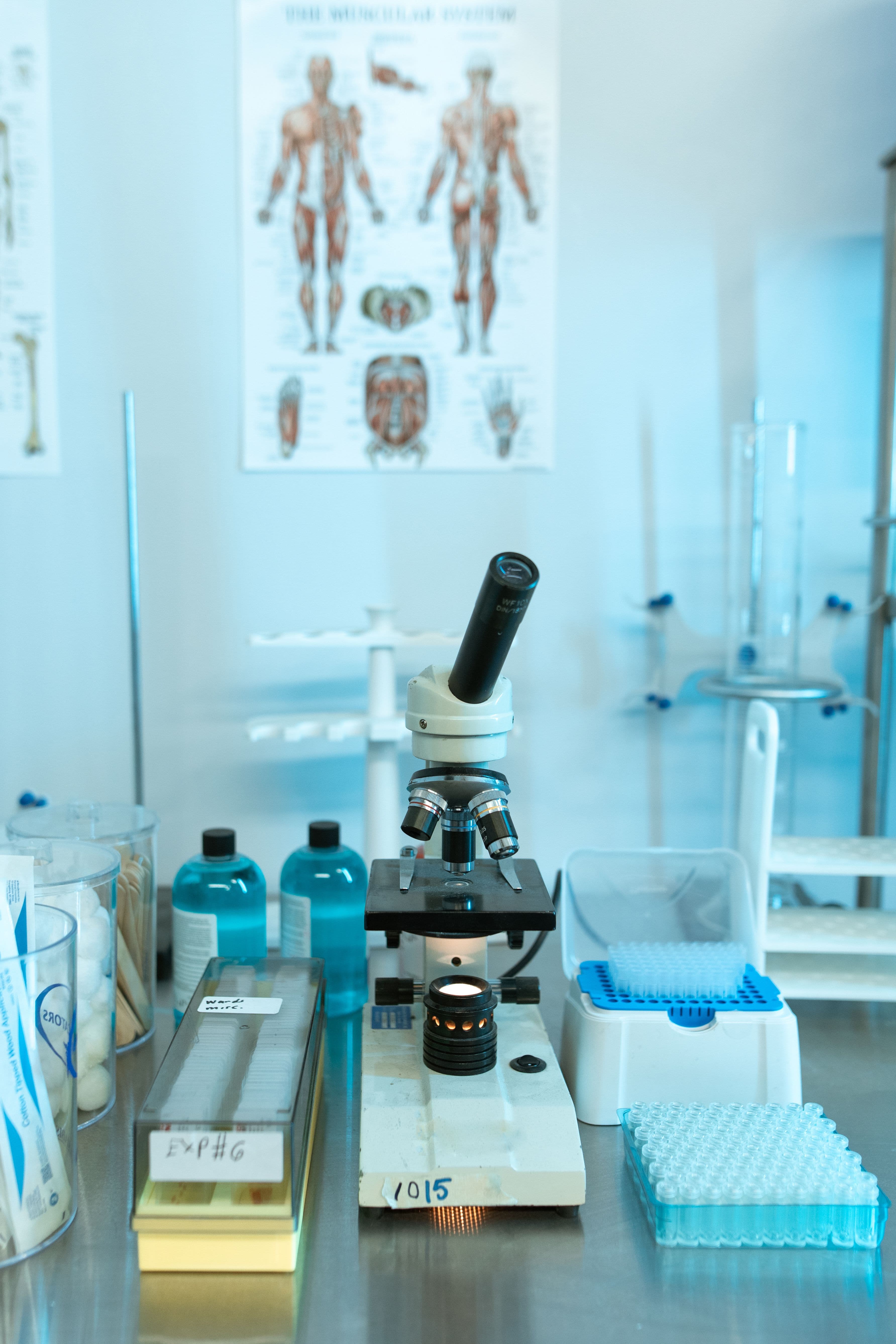 Scientist working in pharmaceutical lab